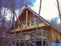 μ̤ϤۤȤɲ򤱤Ƥޤ